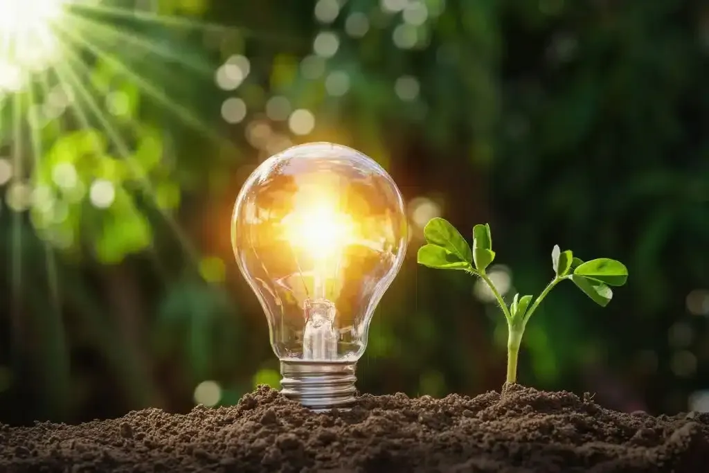 A glowing lightbulb beside a young plant growing from soil