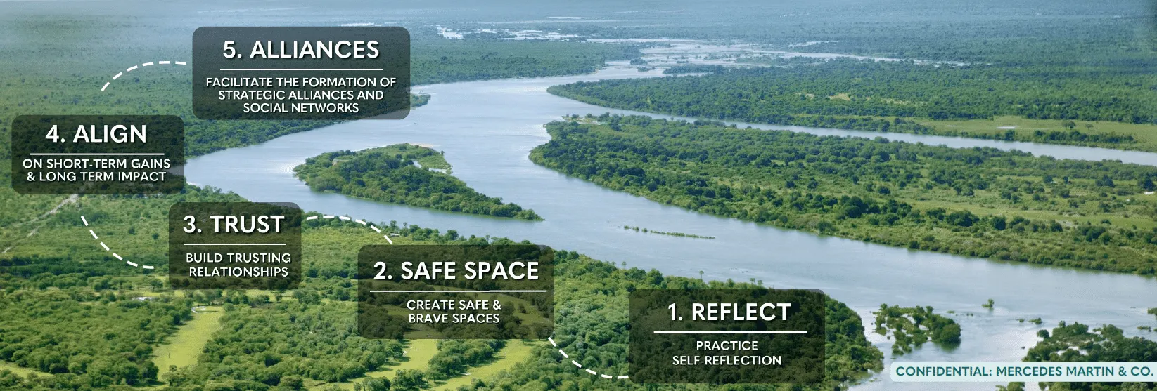 The River framework showing five stages: reflect, safe space, trust, align, and alliances